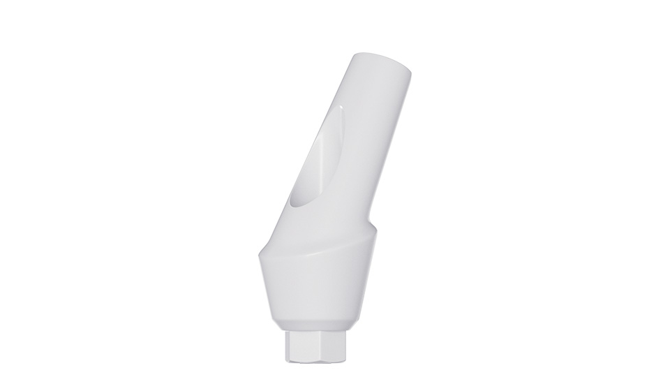 DSI Angulated PEEK Abutment Conical