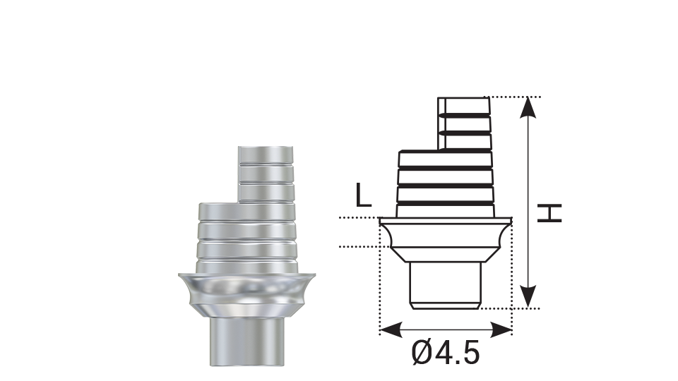 DSI Angulated Ti-Base CAD/CAM Abutment