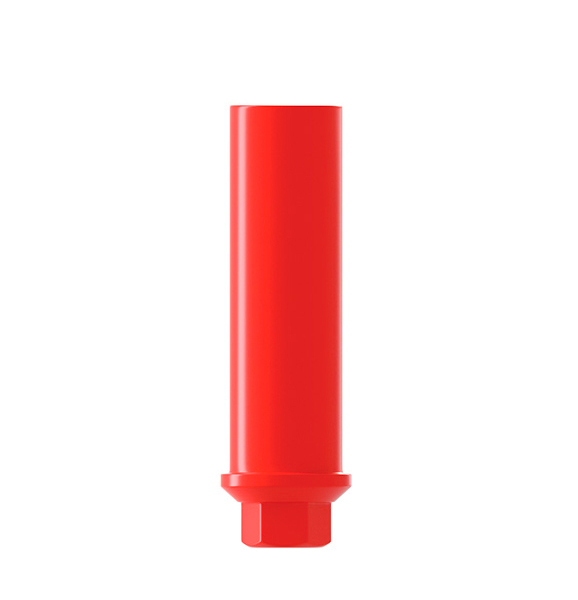 DSI Castable Abutment