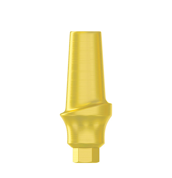 DSI Concave Abutment