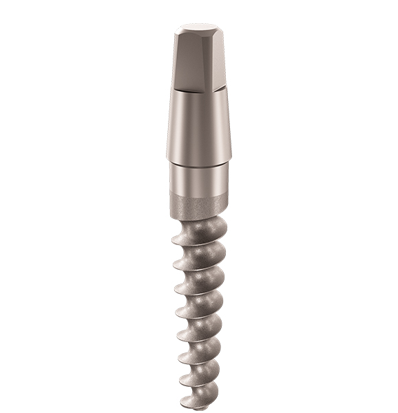 DSI Immediate implant