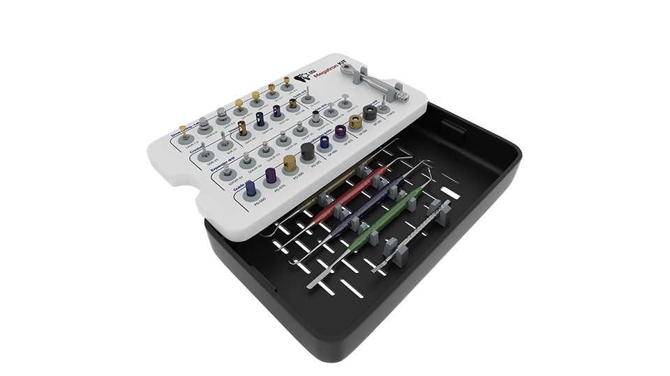 DSI Megatron Kit