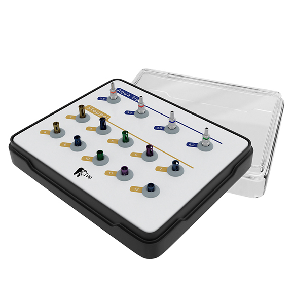 DSI Water Rising System