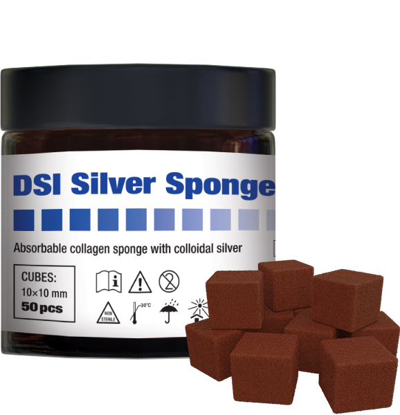 DSI Silver Sponge