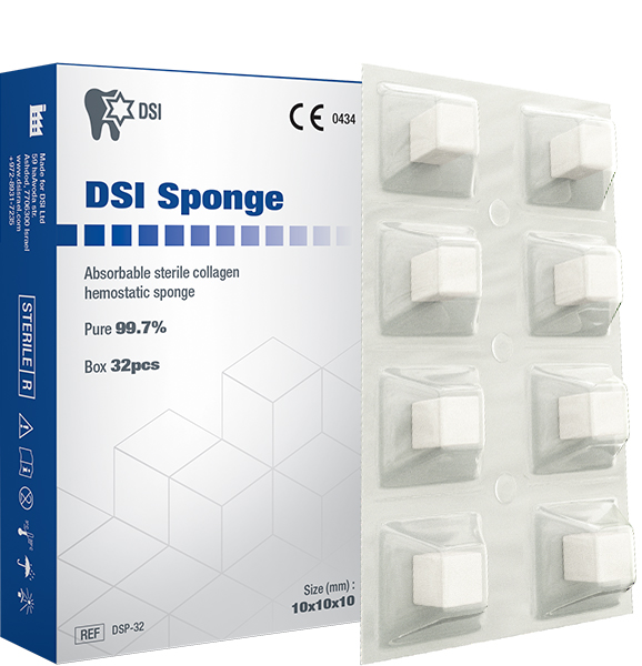 DSI Sponge