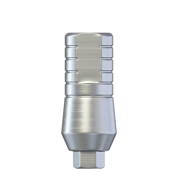 DSI Straight Abutment